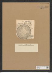 Aulacodiscus schmidtti var quatuorradiatus (Pant.) (de-Toni-Nr.: Genus 182, Species 4521) Zeichnungen Sammlung Grunow Nr. 8111 (NHMW-BOT-W0377455)